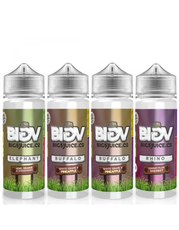 BIG 5 JUICE FRUIT SERIES Eliquid Shortfills 120ML